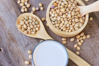 soya fasulyesi ve soya sütü