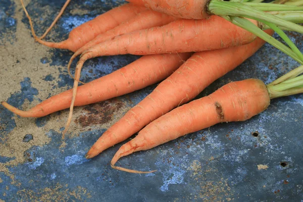 Fresh carrot — Stock Photo, Image