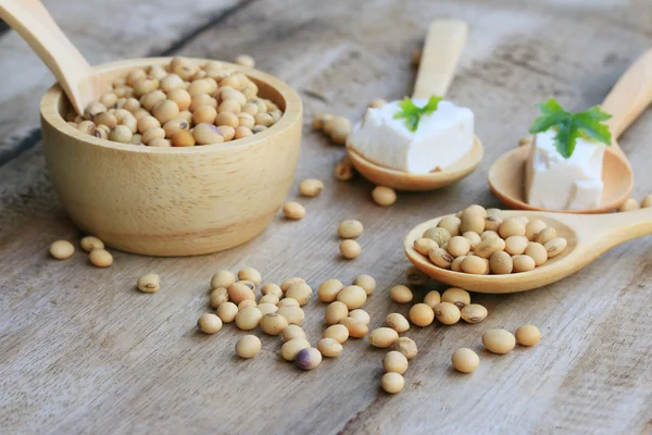 Soybeans and tofu — Stock Photo, Image