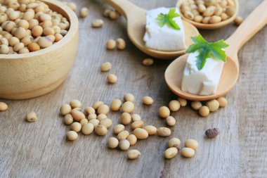 soya fasulyesi ve soya peyniri