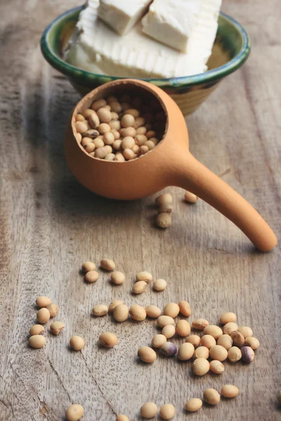 Sojabönor och tofu — Stockfoto