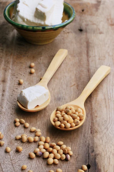 Soybeans and tofu — Stock Photo, Image