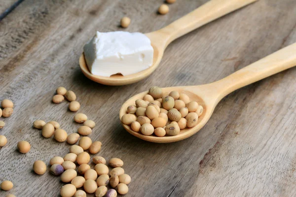 Soybeans and tofu — Stock Photo, Image