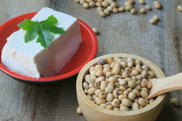 Sojabönor och tofu — Stockfoto