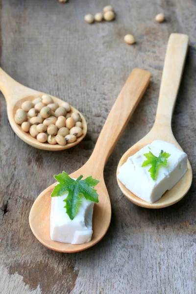 Soja y tofu — Foto de Stock