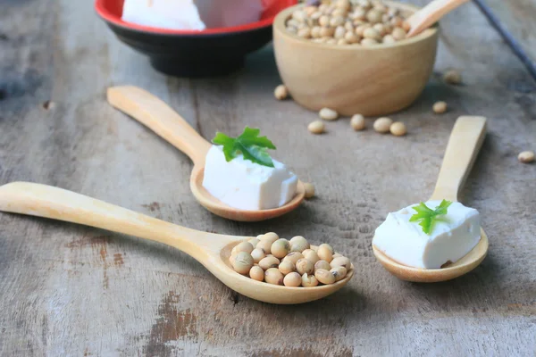 Sojabönor och tofu — Stockfoto