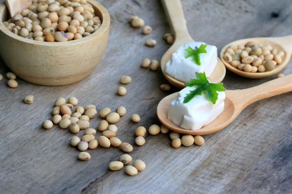 Sojabönor och tofu — Stockfoto