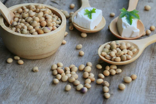 Sojabönor och tofu — Stockfoto