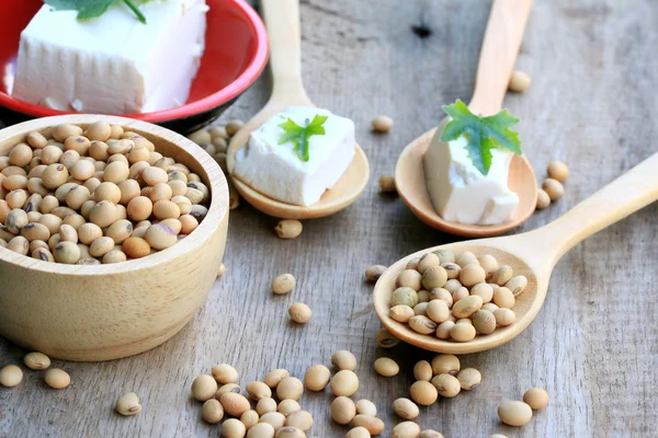 Sojabönor och tofu — Stockfoto