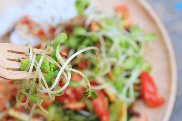 Salada picante jovens girassóis verdes plântulas - comida asiática — Fotografia de Stock