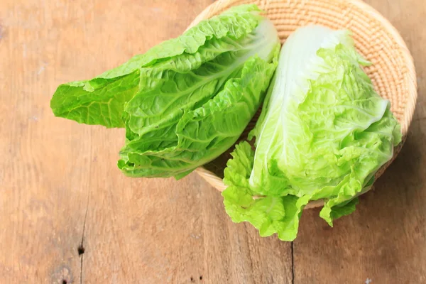 Green cabbage — Stock Photo, Image