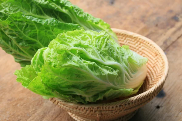 Green cabbage — Stock Photo, Image