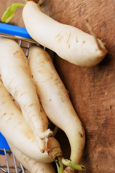 Radish — Stock Photo, Image