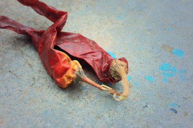 Çimento yerdeki kurutulmuş biber