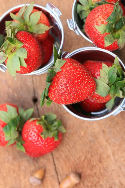 Erdbeere frisches Obst — Stockfoto