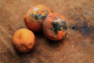 çürük limon