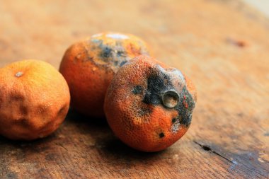çürük limon