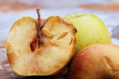 çürük elma yeşil