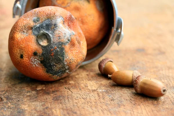 Rotten lemon — Stock Photo, Image