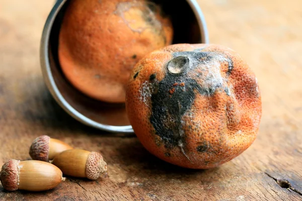 Rotten lemon — Stock Photo, Image