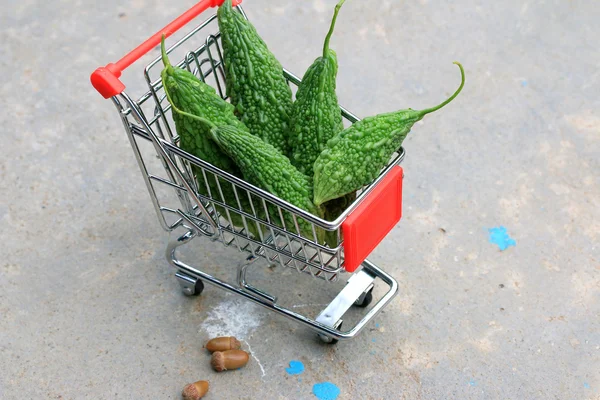 Fresh vegetable bitter melon — Stock Photo, Image