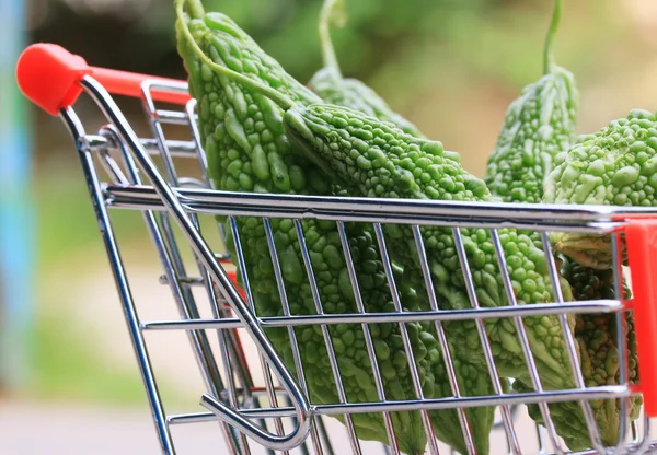 Fresh vegetable bitter melon — Stock Photo, Image