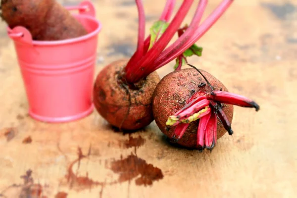 Fresh vegetables beetroot — Stock Photo, Image