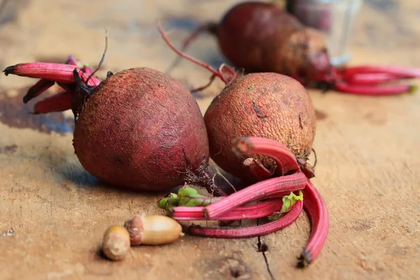 Fresh vegetables beetroot — Stock Photo, Image