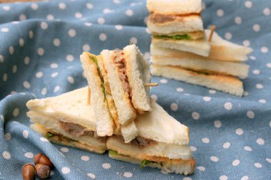 ton balığı sanwich
