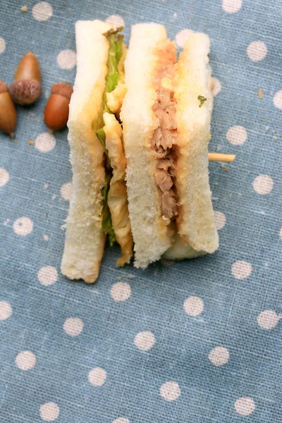Thunfisch-Sandwich — Stockfoto