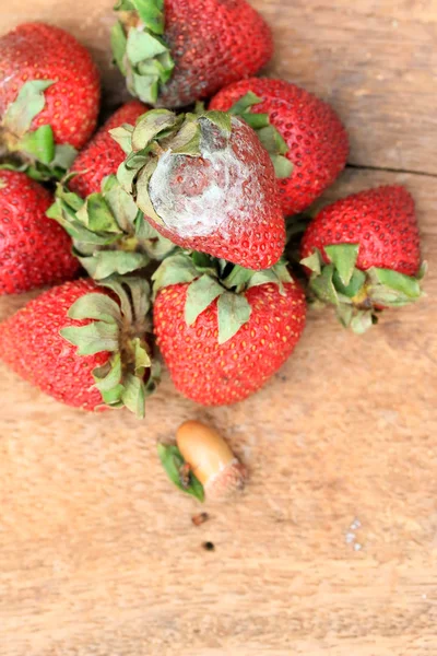 Erdbeerfäule auf Holzernte — Stockfoto