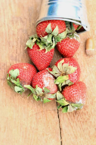 Strawberry rotten on wood vintage — Stock Photo, Image