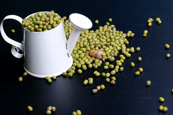 Green beans dried on black background — Stock Photo, Image