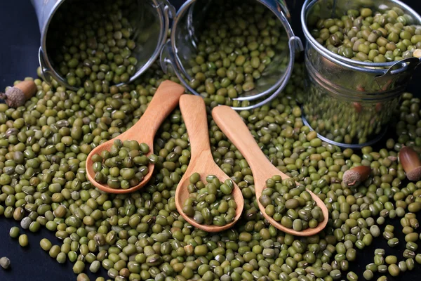 Green beans dried on black background — Stock Photo, Image