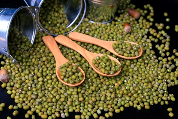 Green beans dried on black background — Stock Photo, Image