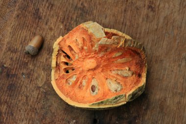 kurutulmuş bael meyve dilimleri