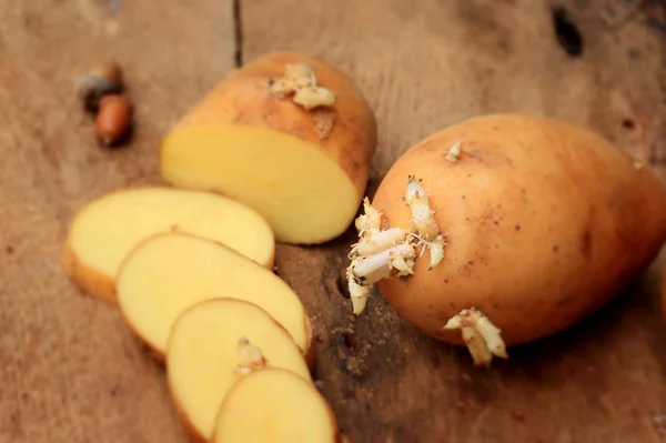 Batata brotou em uma vindima de madeira — Fotografia de Stock