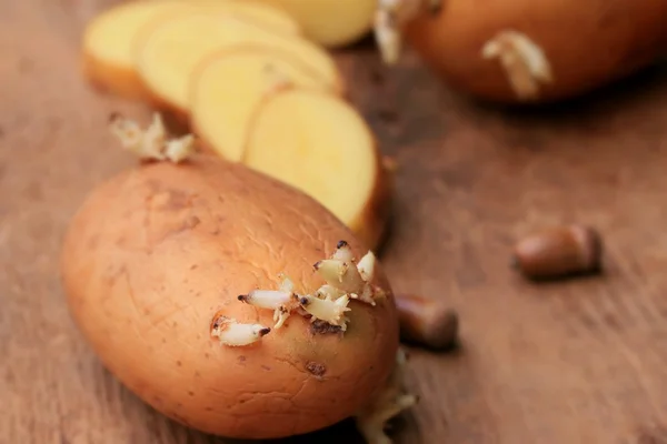 Potato sprouted on a wooden vintage — Stock Photo, Image