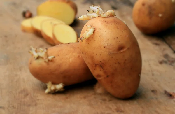 Kartoffelkeime auf einem hölzernen Jahrgang — Stockfoto