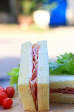 lezzetli sandviçler