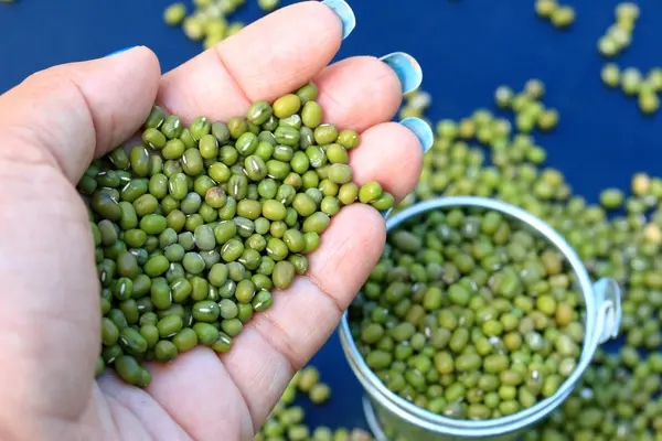 Heap green beans dried — Stock Photo, Image