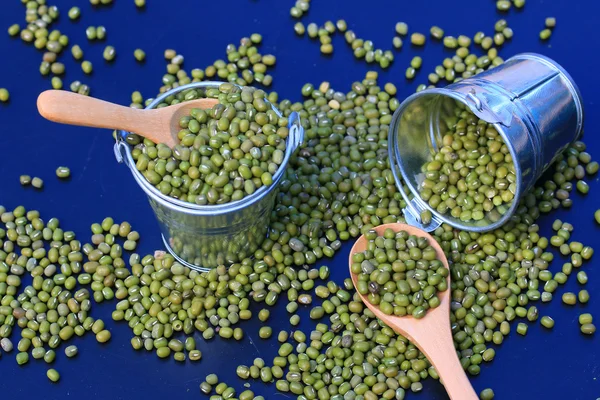 Heap green beans dried — Stock Photo, Image