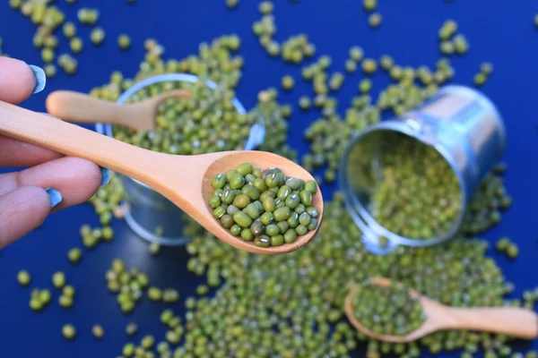 Heap green beans dried — Stock Photo, Image