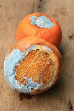 ahşap vintage çürük turuncu meyve