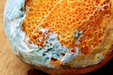 ahşap vintage çürük turuncu meyve