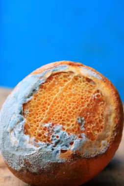 ahşap vintage çürük turuncu meyve