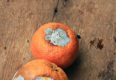 ahşap vintage çürük turuncu meyve