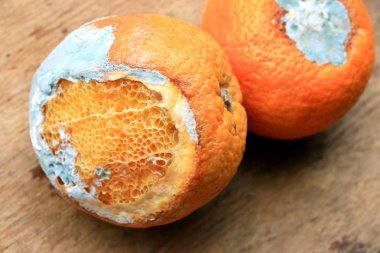 ahşap vintage çürük turuncu meyve