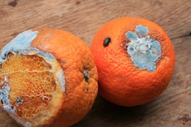 ahşap vintage çürük turuncu meyve