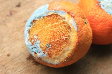 ahşap vintage çürük turuncu meyve